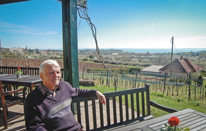 Veszhet a szőlő – Ingatlanos héják köröznek a Balaton-felvidék lankái fölött